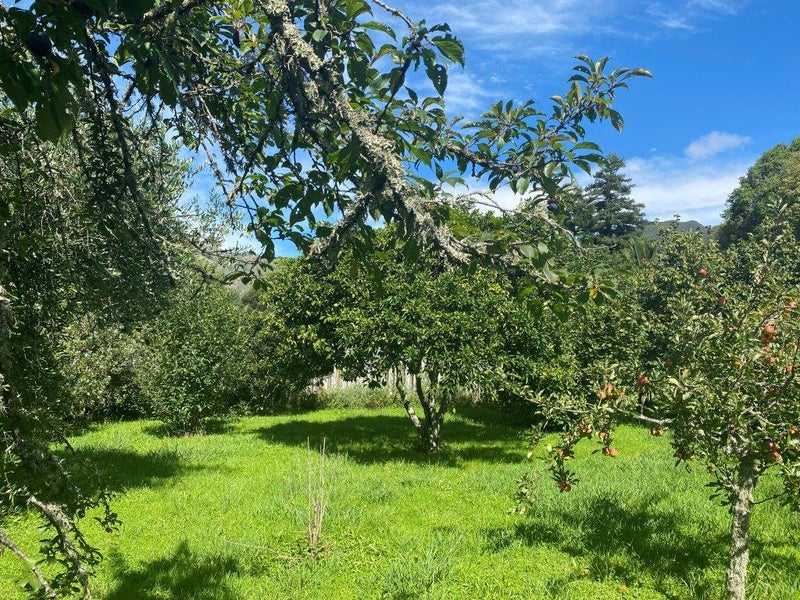 630 Abel Tasman Drive, Takaka - Carousel 14