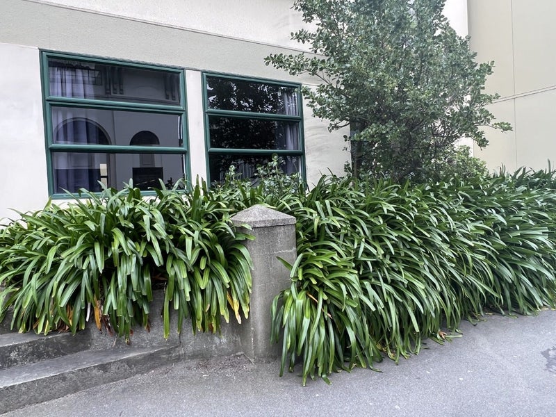 19/22 Sussex Street, Mount Cook, Wellington - Carousel 16