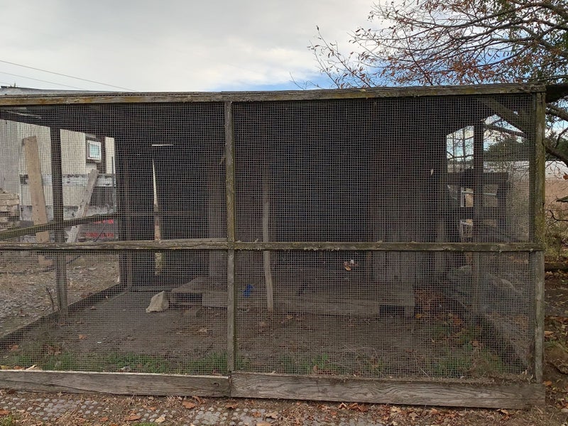 599 Curraghs Road, Christchurch - Carousel 23