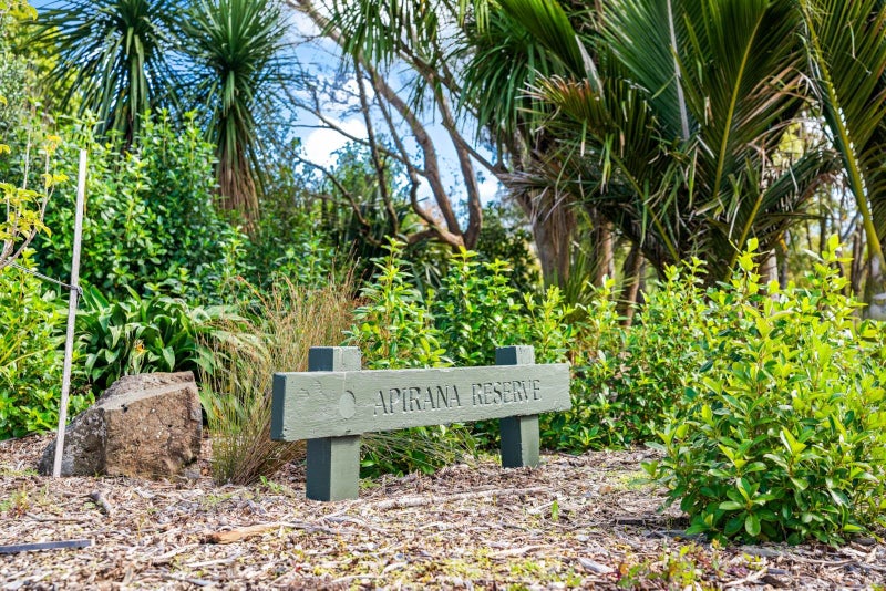 47 Caulton Street, Saint Johns, Auckland - Carousel 24