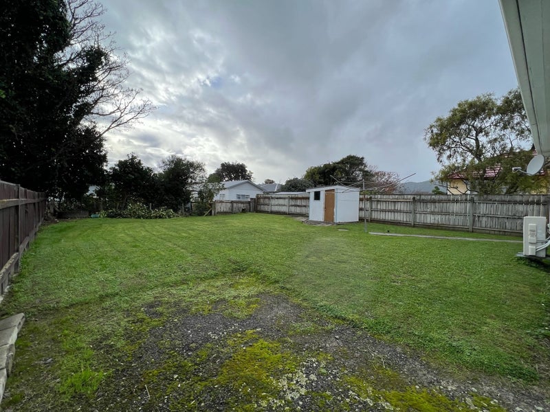 17 Roberts Street, Epuni, Lower Hutt - Carousel 14