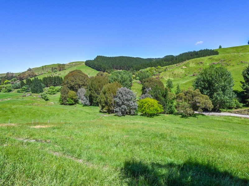 334 Apley Road, Puketapu - Carousel 2