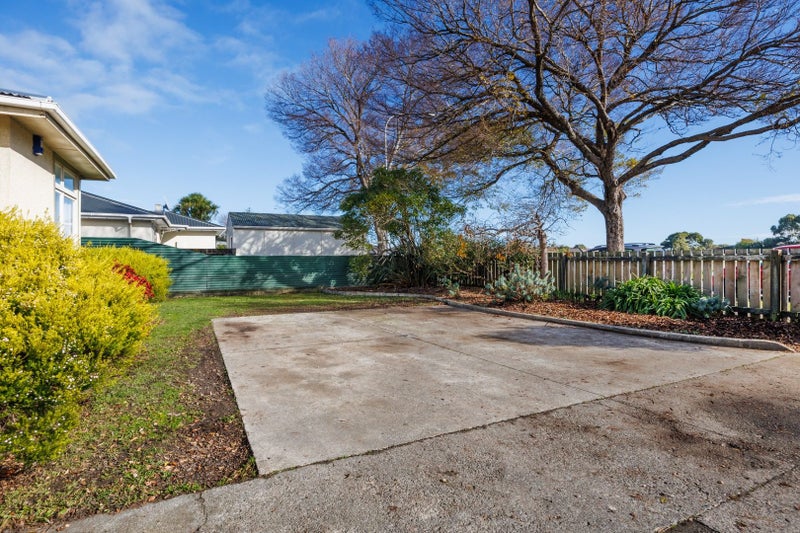 228 Tremaine Avenue, Highbury, Palmerston North - Carousel 11