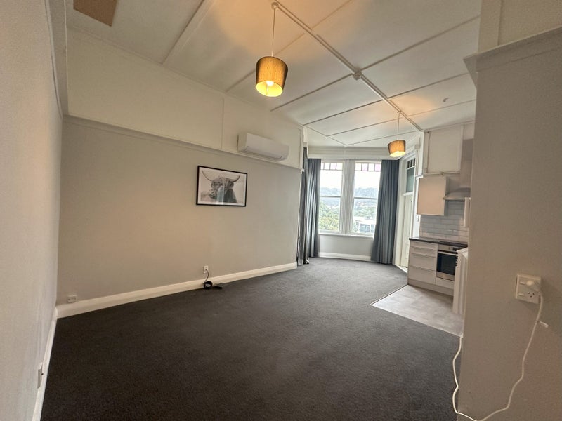 129 Tasman Street, Mount Cook, Wellington - Carousel 2