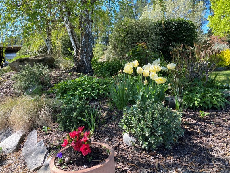 599 Loop Road, BENDIGO, CROMWELL - Carousel 40