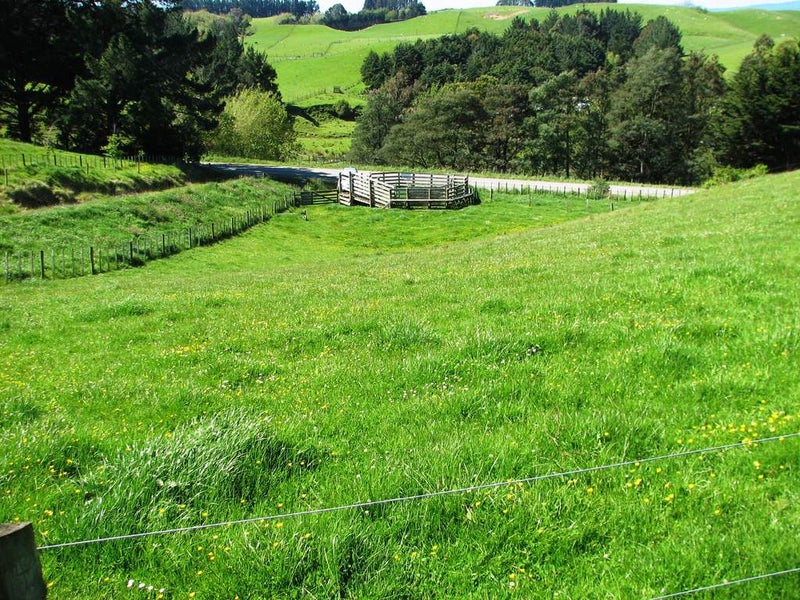 291 Ulysses Road, Ashhurst, Palmerston North - Carousel 2
