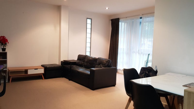 3H/1 Hanson Street, Mount Cook, Wellington - Carousel 2