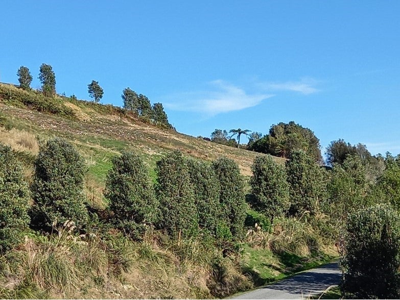 2 Middle Paddock, BLUE SPUR, HOKITIKA - Carousel 1