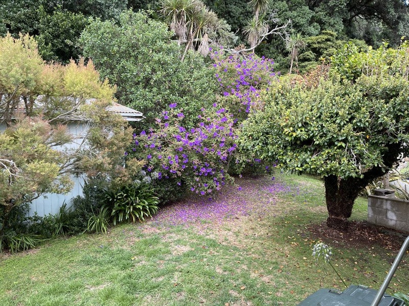 40B West End Road, Ohope - Carousel 2