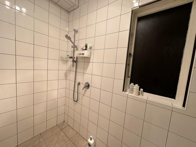 90 Curtis Street, Northland, Wellington - Carousel 10