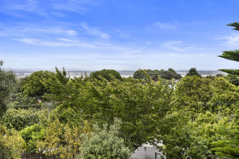 2/41 Rawhiti Road, Onehunga, Auckland - Carousel 16