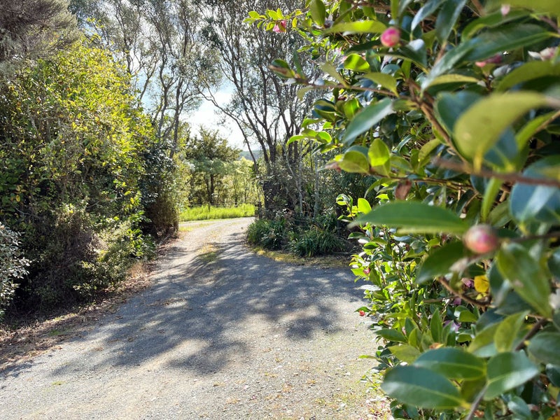 55 Oakleigh Rise, Oakleigh, Whangarei - Carousel 24