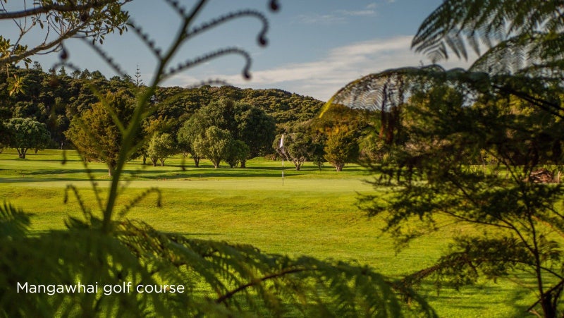 193B Cames Road, Wellsford - Carousel 21