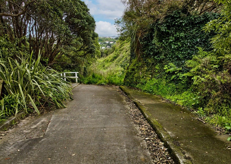 75 Camperdown Road, Miramar, Wellington - Carousel 7