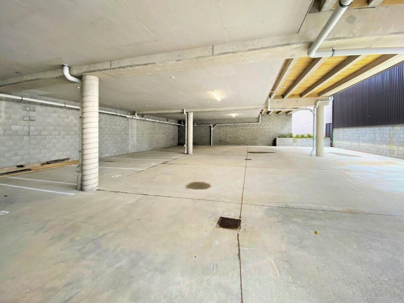 13 Arney Street, Newtown, Wellington - Carousel 11