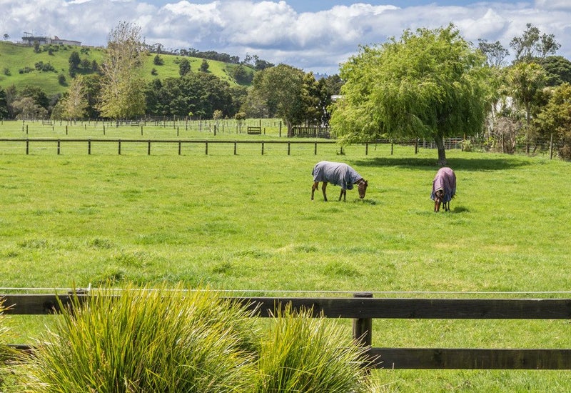 145A Port Marsden Highway, Ruakaka, Ruakākā - Carousel 2