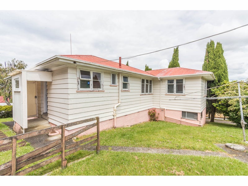 19 Whitney Street, New Windsor, Auckland - Carousel 2