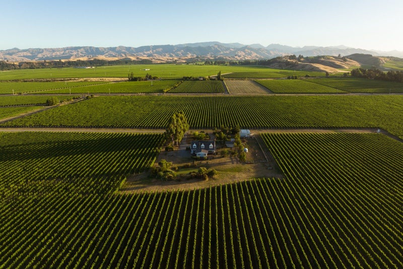 442 State Highway 1, Tamahere - Carousel 1