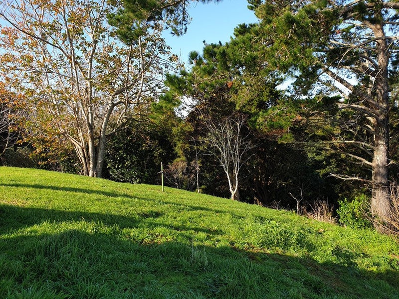 800 Bickerstaffe Road, Maungaturoto - Carousel 23