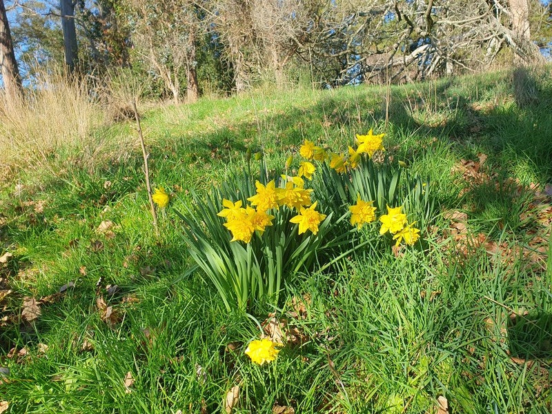 51 Kelling Road, Upper Moutere - Carousel 35