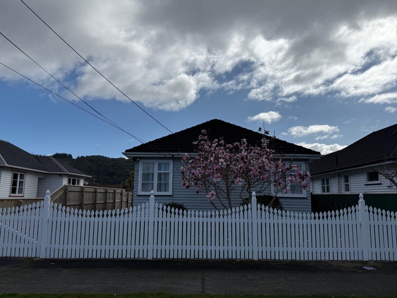 19 Kowhai Avenue, Ebdentown, Upper Hutt - Carousel 29