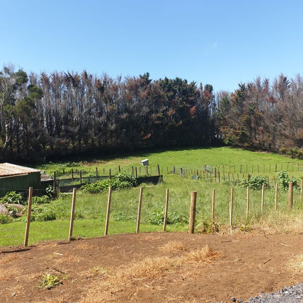 0 Kidd Road, Karaka, Papakura - Carousel 12