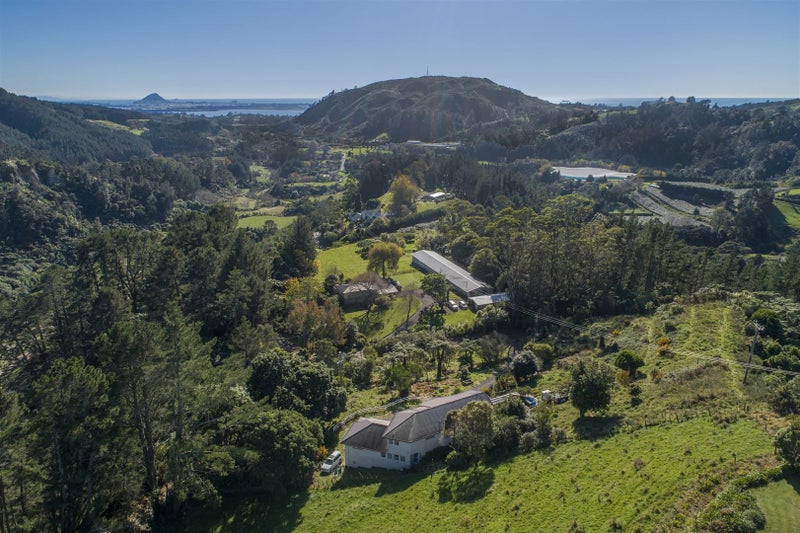 425A Waitao Road, Waitao - Carousel 20