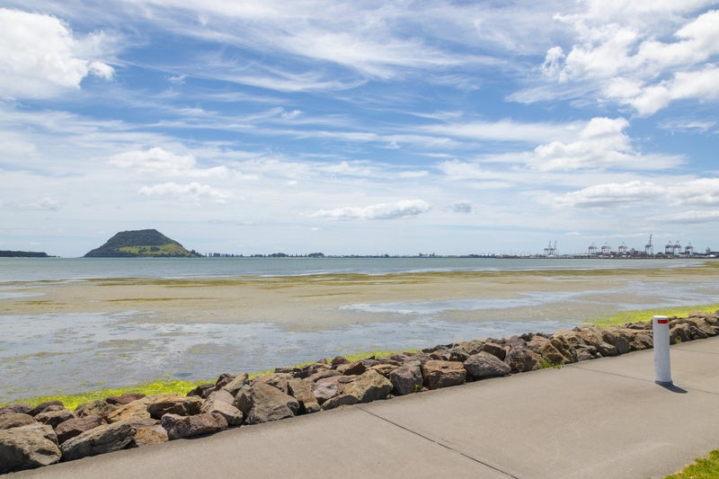 7B Beach Road, Otumoetai, Tauranga - Carousel 19