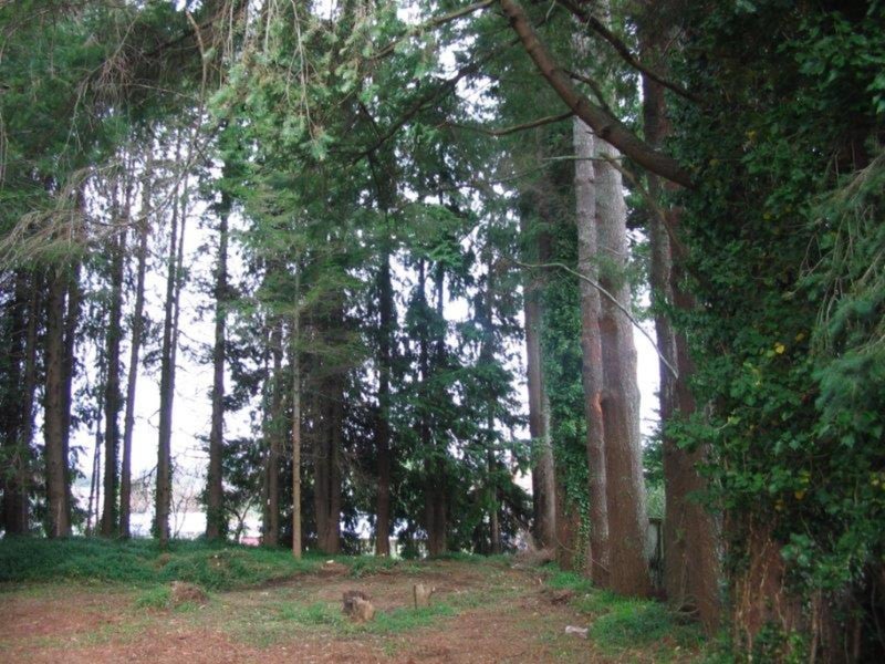 233 Sunset Road, Sunnybrook, Rotorua - Carousel 26