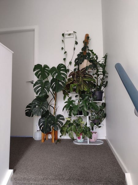 33C Bracken Road, Paparangi, Wellington - Carousel 16