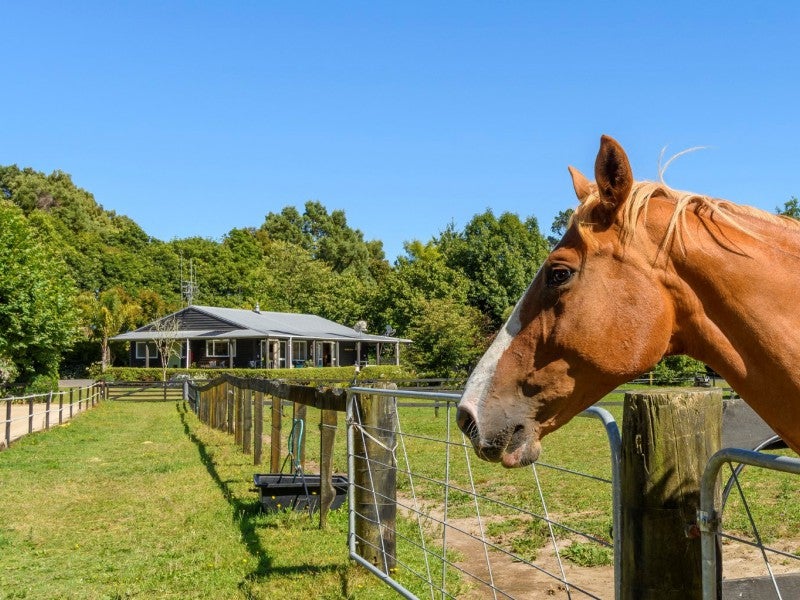 1021 Omanawa Road, Tauranga - Carousel 1