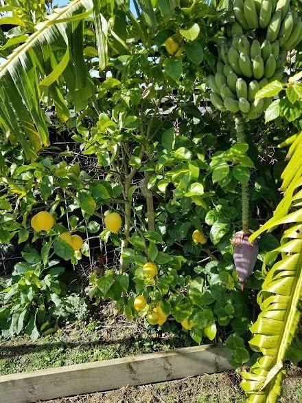 4/1594 Great North Road, Waterview, Auckland - Carousel 17