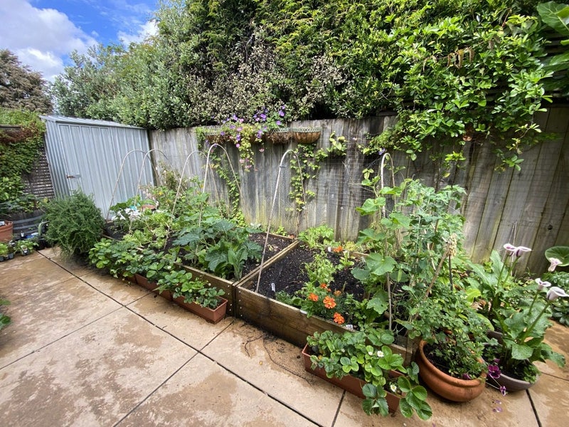 37/115 Grove Street, The Wood, Nelson - Carousel 20