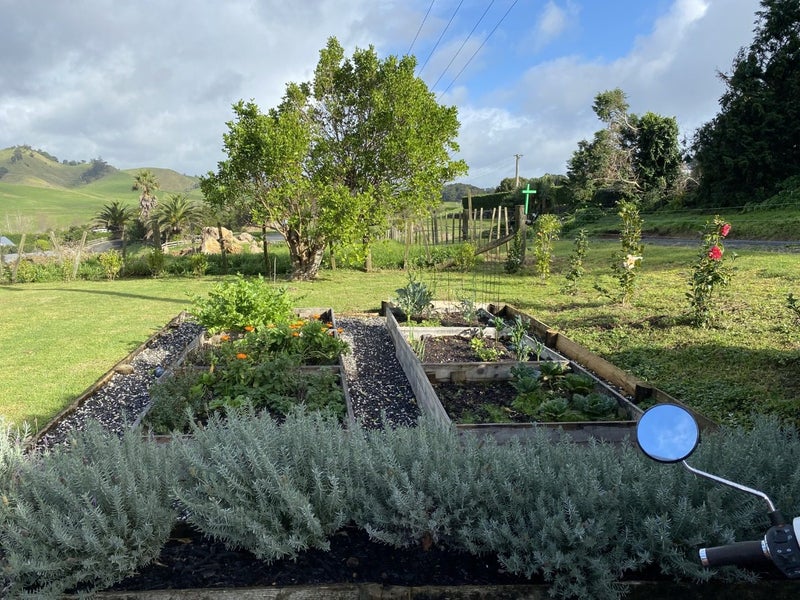 103 Austin Road, Maunu, Whangarei - Carousel 12