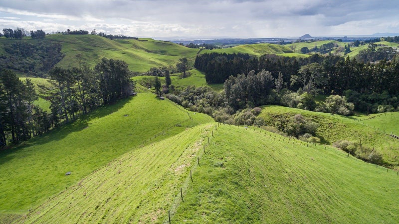 669C Kaitemako Road, Welcome Bay, Tauranga - Carousel 30