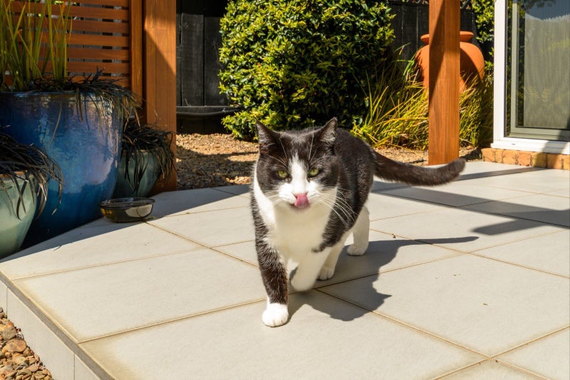 34 Orange Lane, Bethlehem, Tauranga - Carousel 30