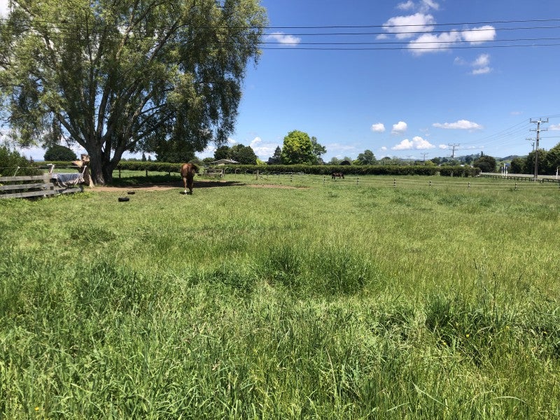 790 State Highway 27, Tirau - Carousel 12