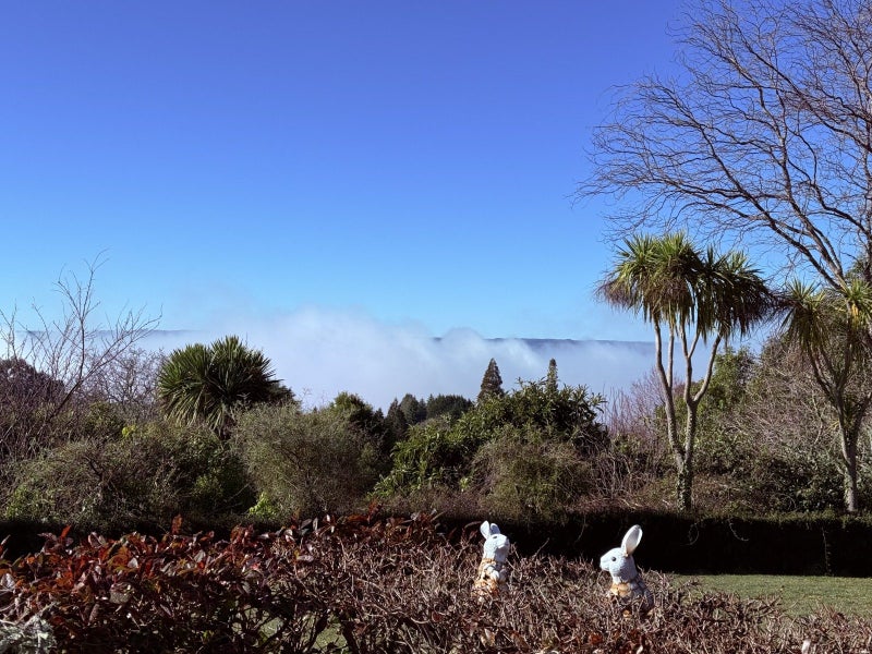 14 Glen Mohr, Acacia Bay, Taupo, Waikato - Carousel 38