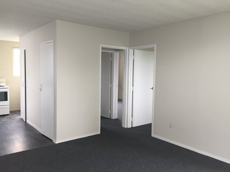 22A O'Neill Street, Claudelands, Hamilton - Carousel 2