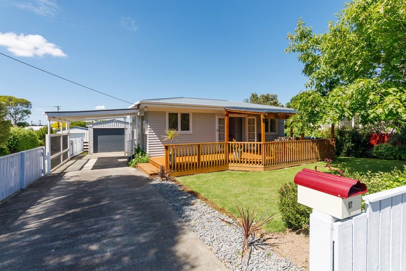 17 Flower Street, Bulls - Carousel 18