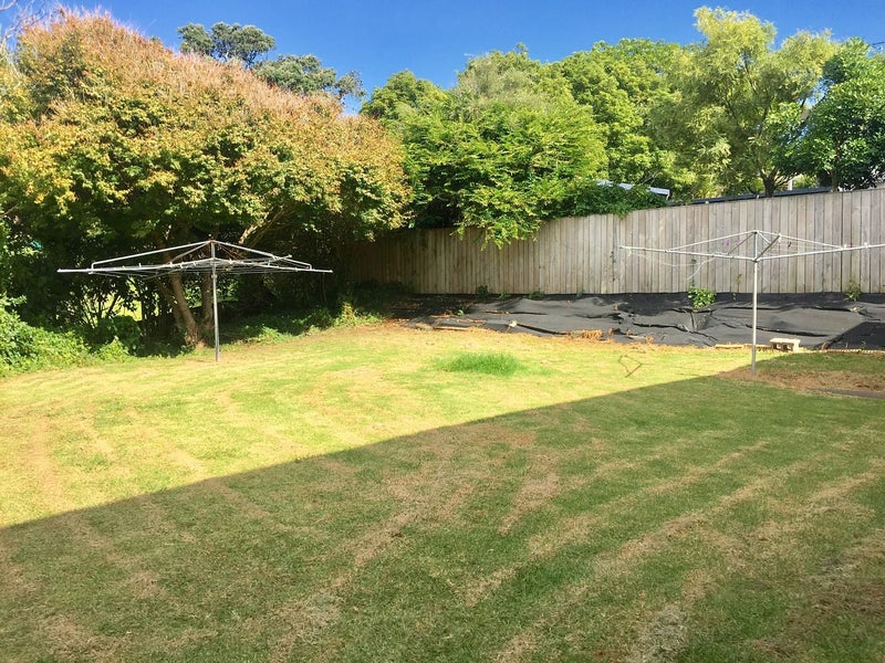 29 Don Croot Street, Morningside, Auckland - Carousel 14