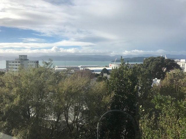 43 Grant Road, Thorndon, Wellington - Carousel 16