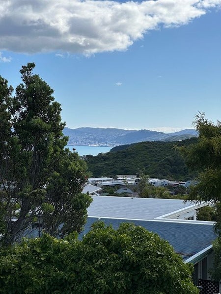 6 Wisteria Grove, Maungaraki, Lower Hutt - Carousel 13