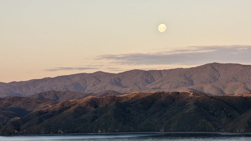 8 Bowes Crescent, Strathmore Park, Wellington - Carousel 23