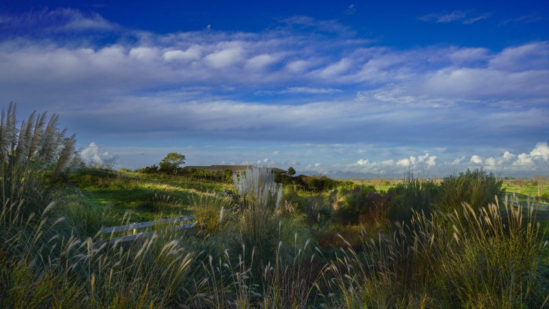 683 Back Miranda Road, Pūkorokoro / Miranda, Kaiaua - Carousel 2
