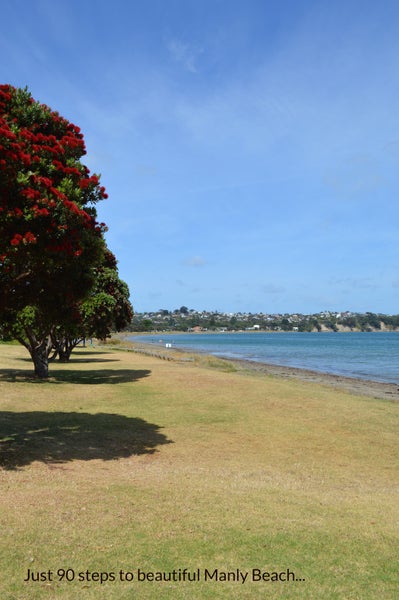 8 Brown Street, Manly, Whangaparaoa - Carousel 21