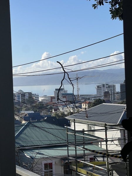 35 Patanga Crescent, Thorndon, Wellington - Carousel 12