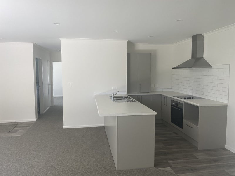 14B Hinau Street, Maeroa, Hamilton - Carousel 9