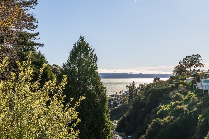 23 Fitzroy Road, Bluff Hill, Napier - Carousel 2