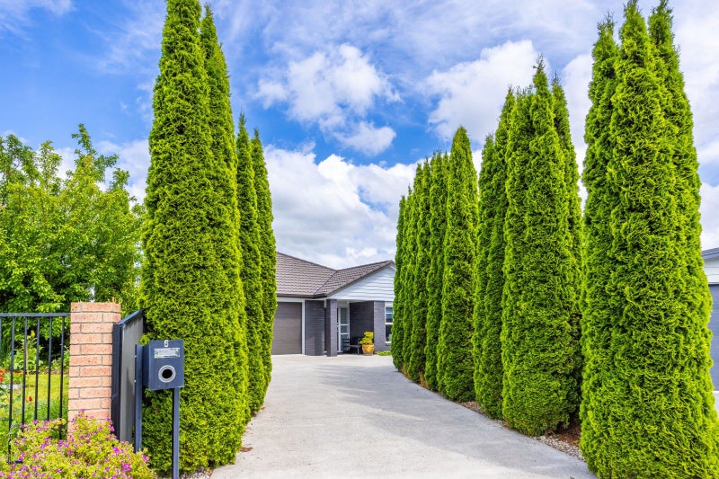 6 Peter Way Place, Glenview, Hamilton - Carousel 2